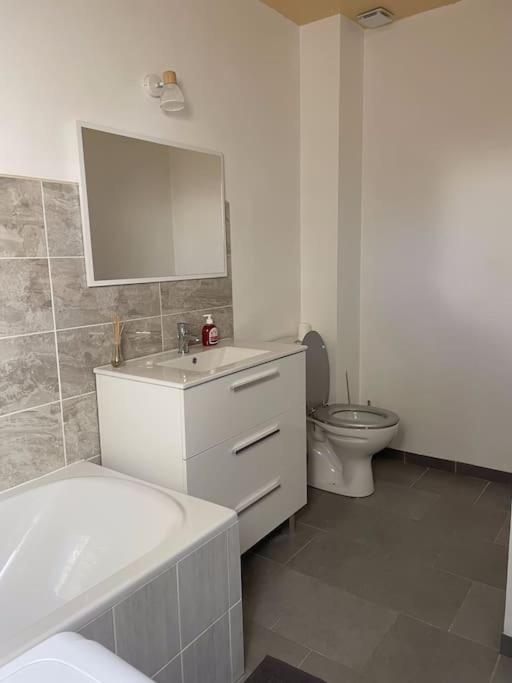 Sainte-Savine Maison Mitoyenne Avec Cour + Parking מראה חיצוני תמונה